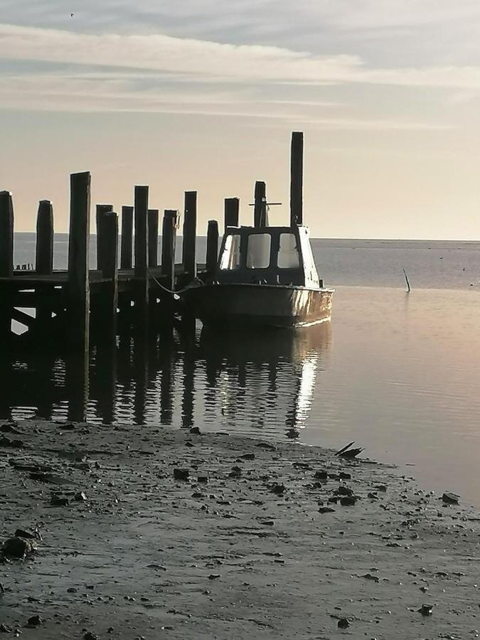 Dock10Texel Bed & Breakfast De Cocksdorp  Luaran gambar